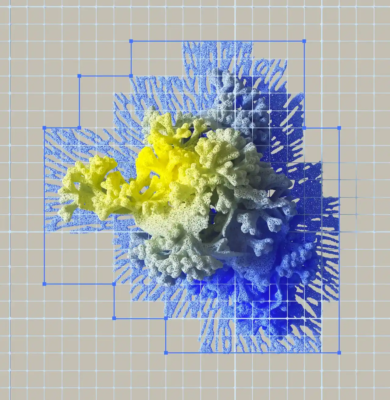 Visión por computadora y aprendizaje profundo: intuición automática